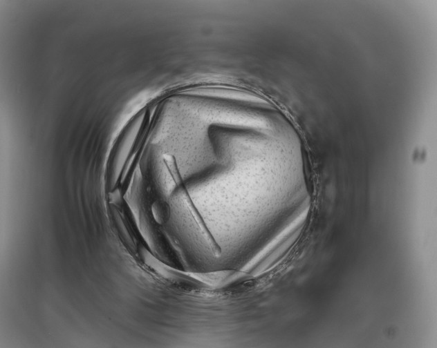 X0000097300104200802291822