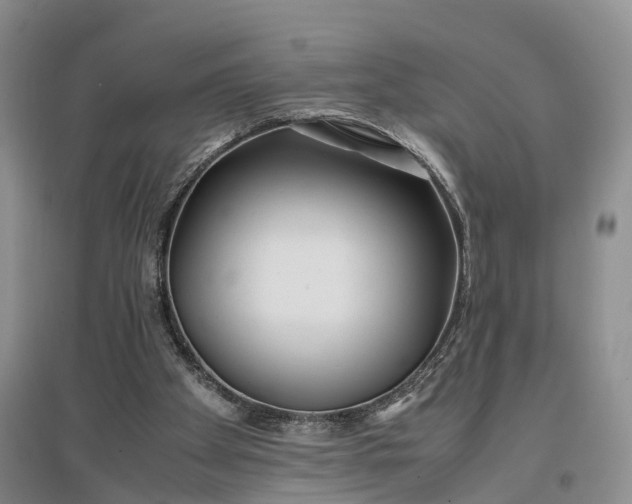 X0000097300105200802291822