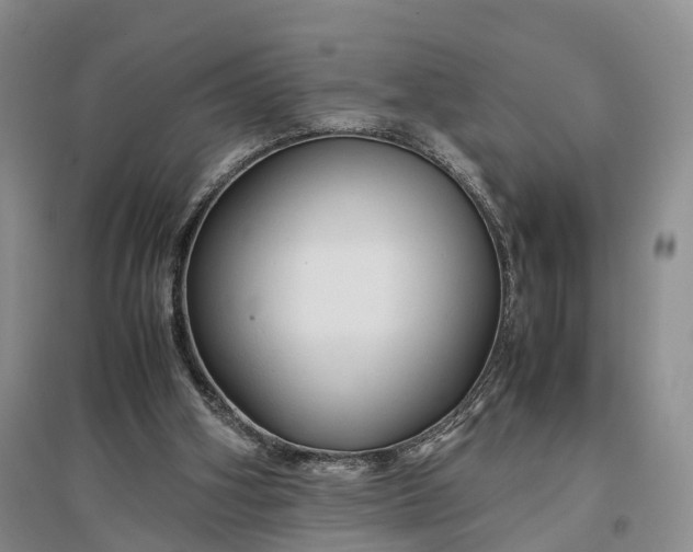 X0000097300106200802291822