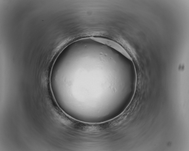 X0000097300107200802291822