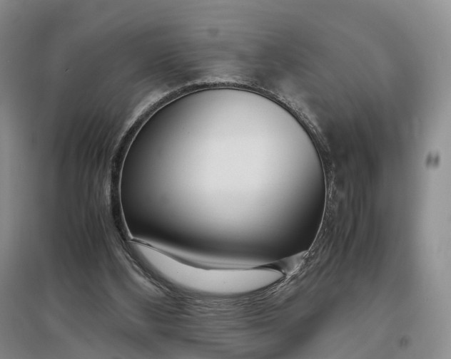 X0000097300108200802291822