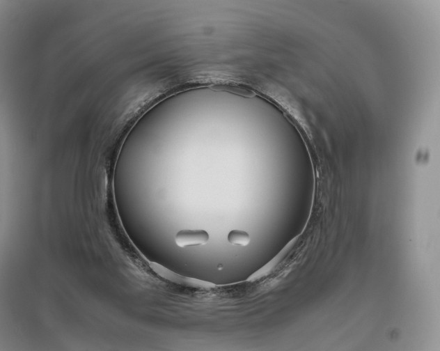 X0000097300109200802291822