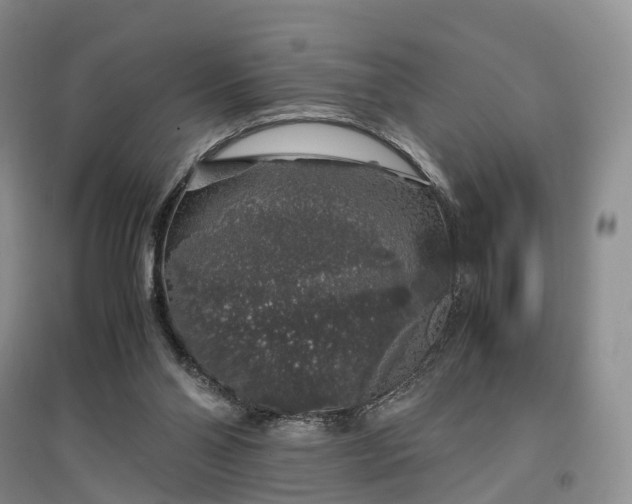 X0000097300110200802291822