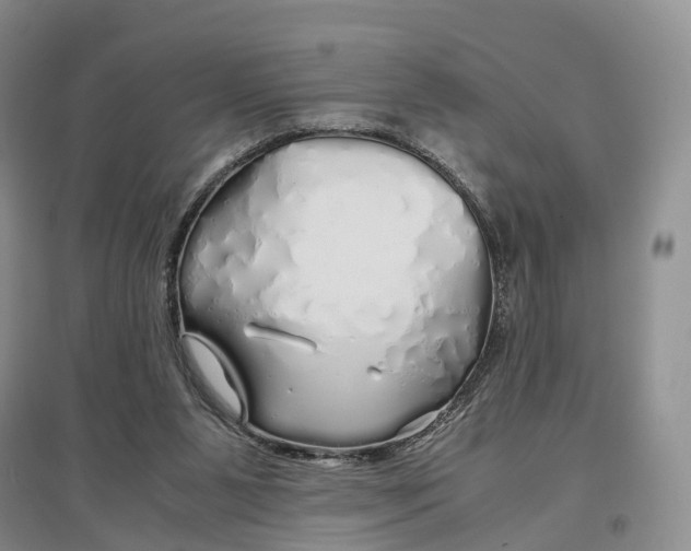 X0000097300111200802291822