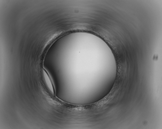 X0000097300112200802291822