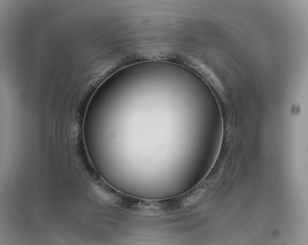 X0000097300113200802291822