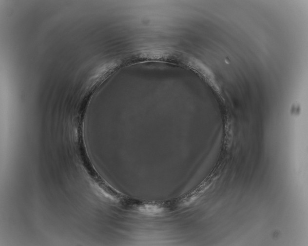 X0000097300114200802291822