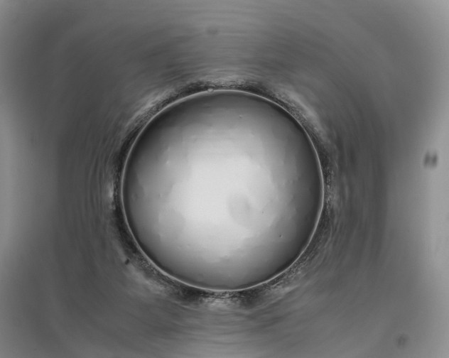 X0000097300115200802291822