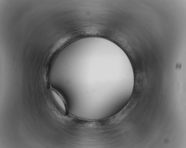 X0000097300116200802291822