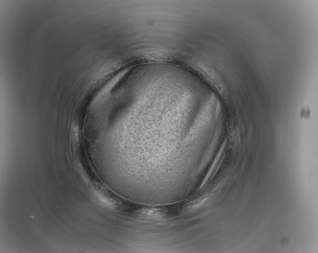 X0000097300117200802291822