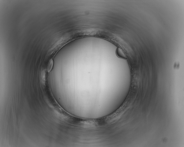 X0000097300118200802291822