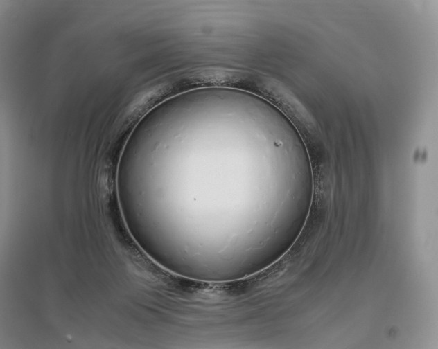 X0000097300119200802291822