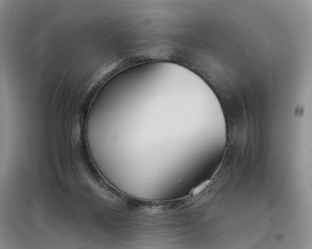 X0000097300120200802291822