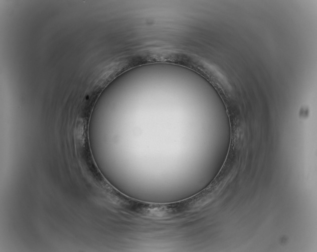 X0000097300121200802291822