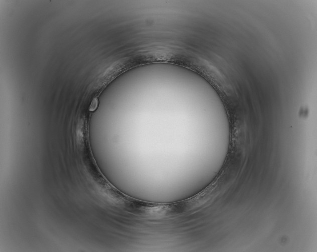 X0000097300122200802291822