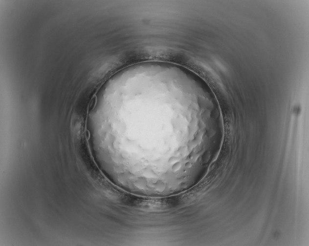 X0000097300123200802291822