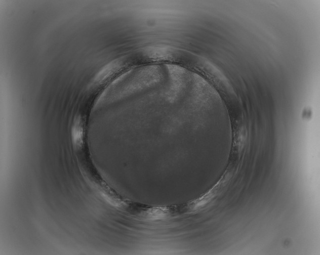 X0000097300124200802291822