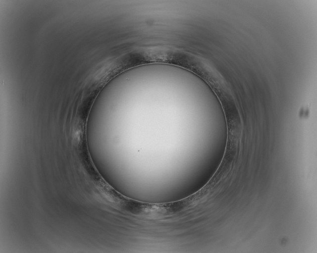 X0000097300125200802291822