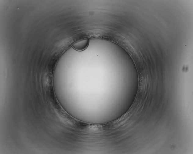 X0000097300126200802291822