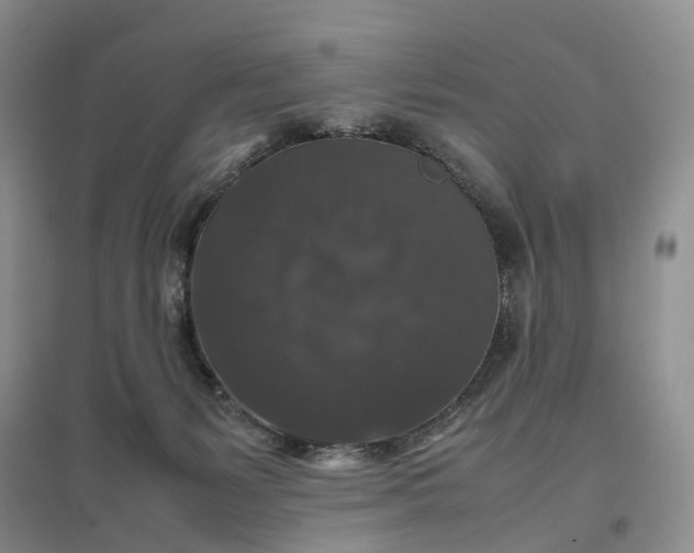 X0000097300127200802291822