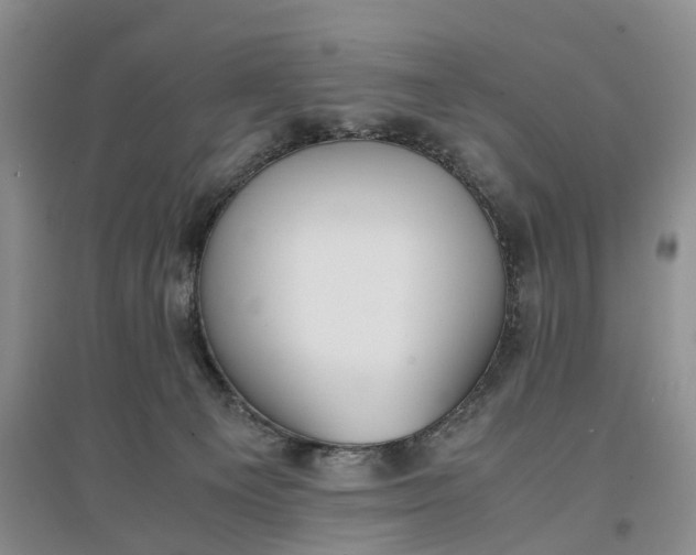 X0000097300129200802291822