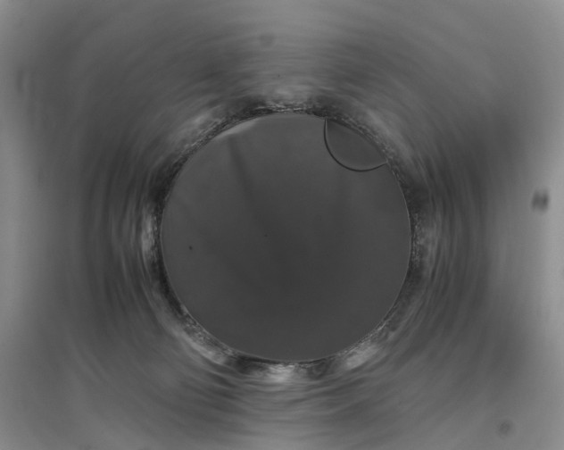 X0000097300130200802291822