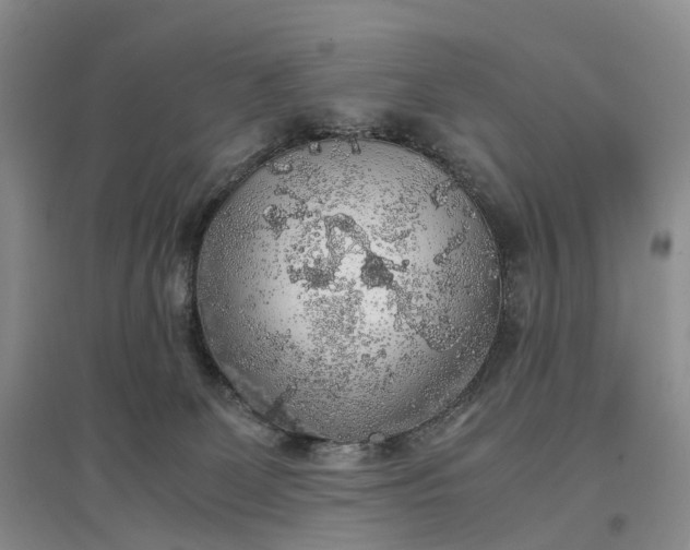 X0000097300131200802291822