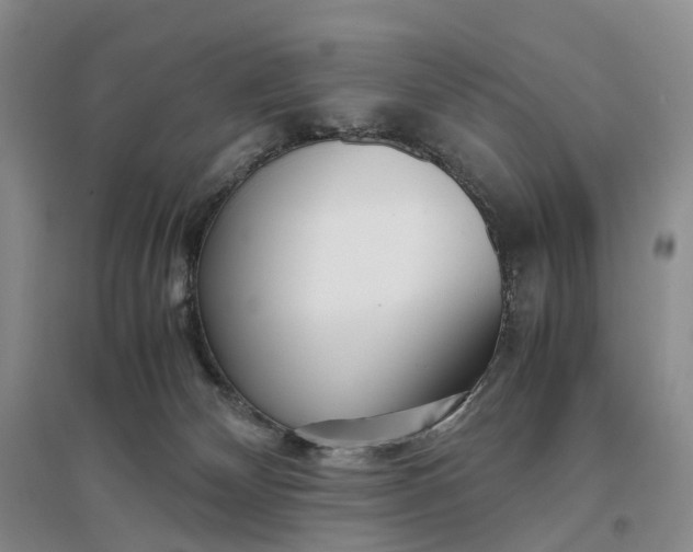 X0000097300132200802291821