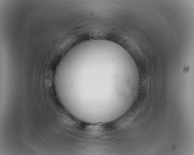 X0000097300133200802291821