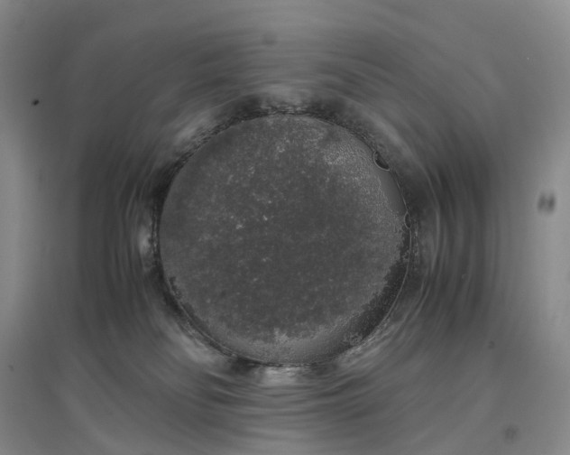 X0000097300134200802291821