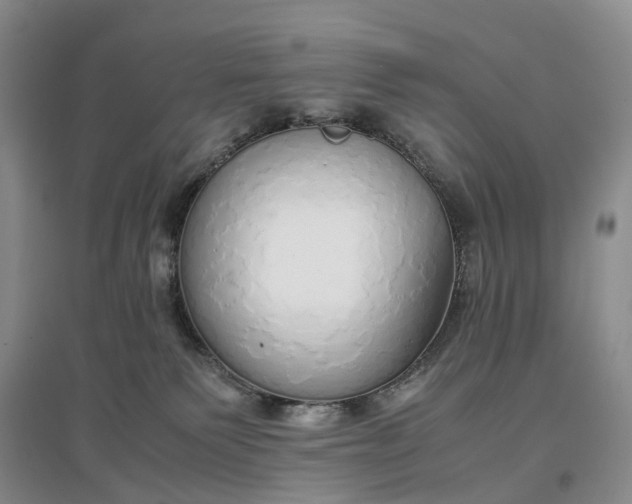 X0000097300135200802291821