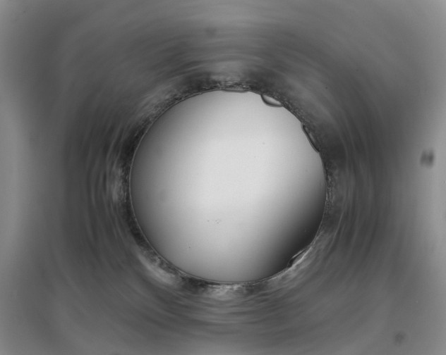 X0000097300136200802291821