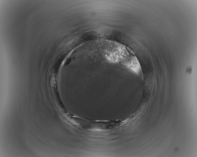 X0000097300137200802291821