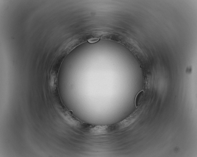 X0000097300138200802291821