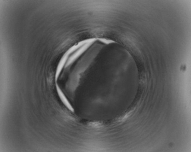 X0000097300139200802291821