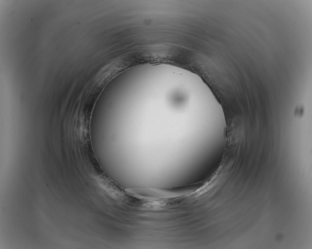 X0000097300140200802291821