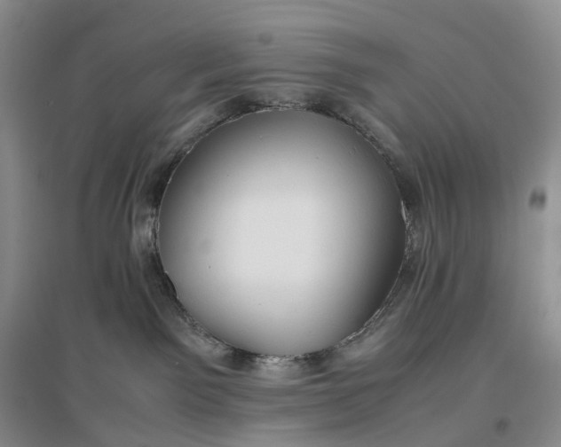 X0000097300141200802291821