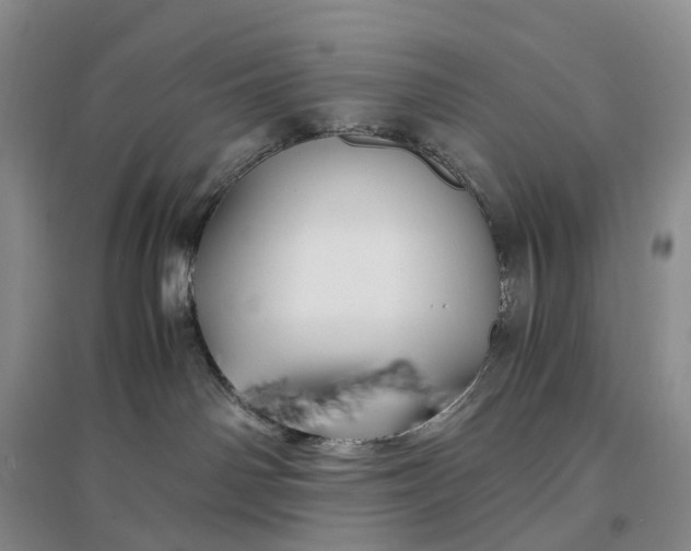 X0000097300142200802291821