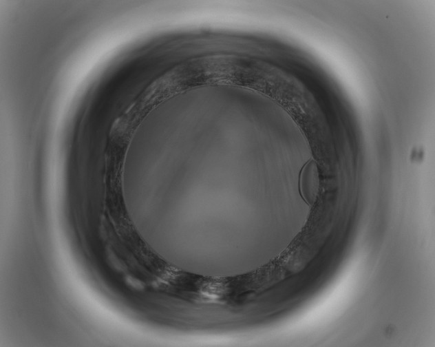 X0000097300143200802291821