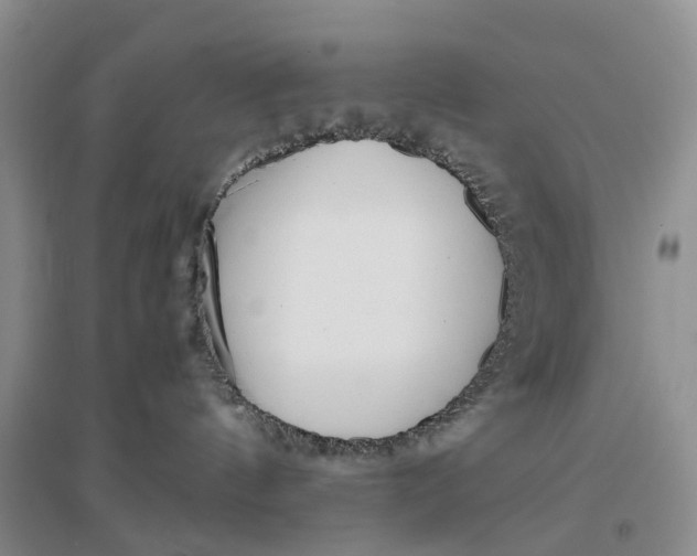 X0000097300144200802291821