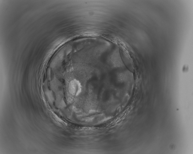 X0000097300145200802291821