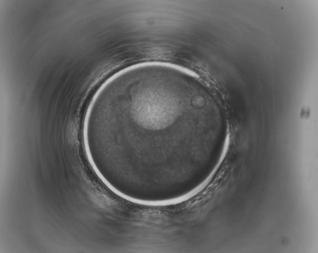 X0000097300146200802291821