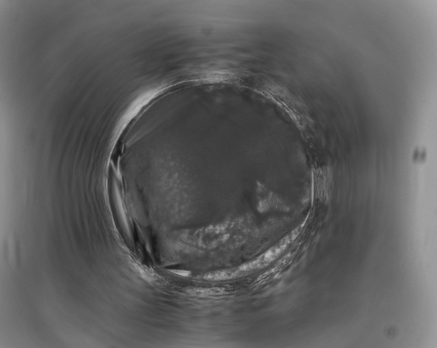 X0000097300147200802291821