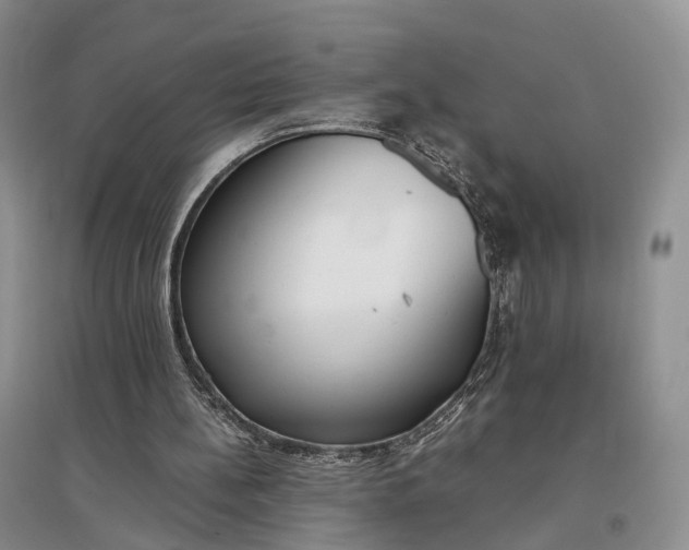 X0000097300148200802291821