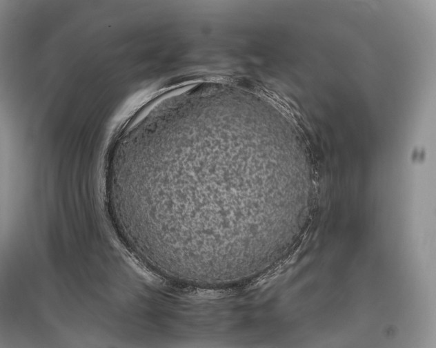 X0000097300149200802291821