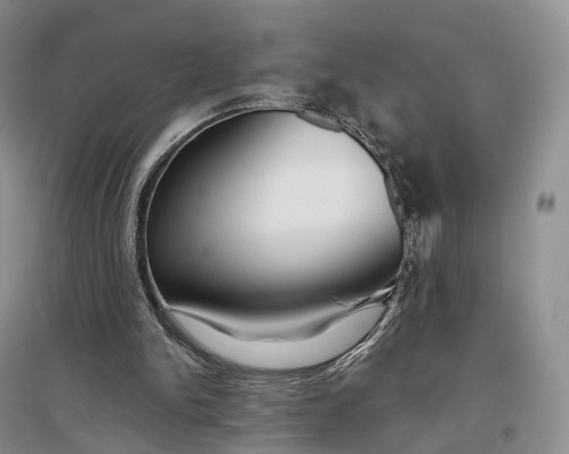 X0000097300150200802291821