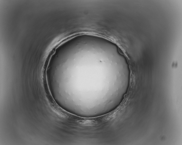 X0000097300151200802291821