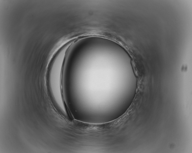 X0000097300152200802291821