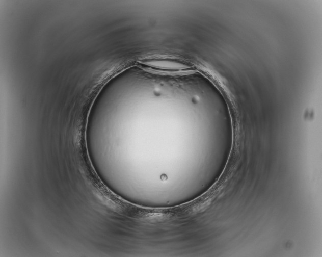 X0000097300153200802291821