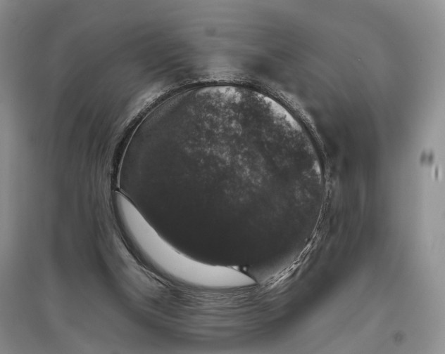 X0000097300154200802291821